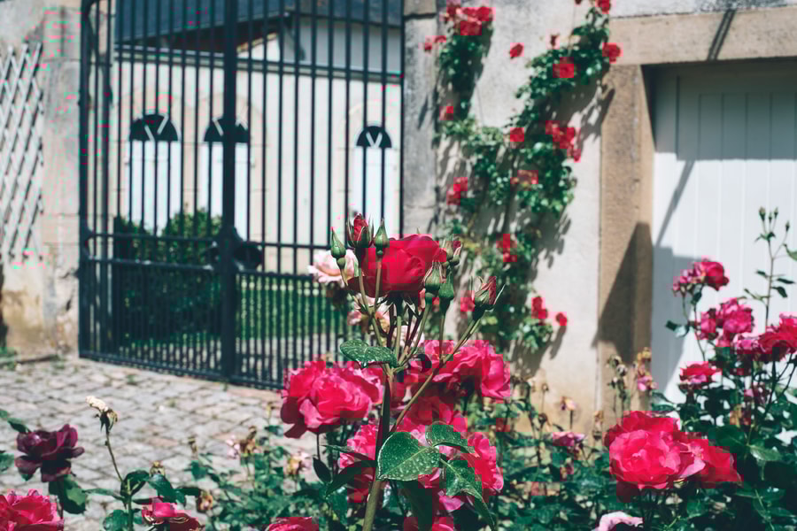 Image d'illustration 15