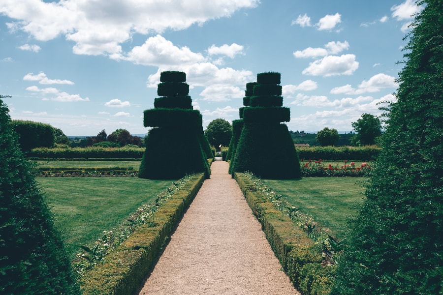 Image d'illustration 16